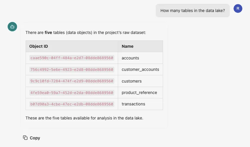 Data Agent Example - Project Info